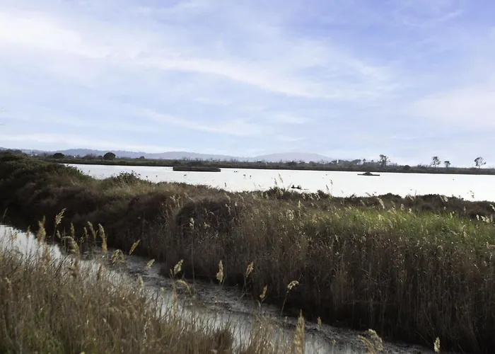 Phichris By Interhome Lejlighed